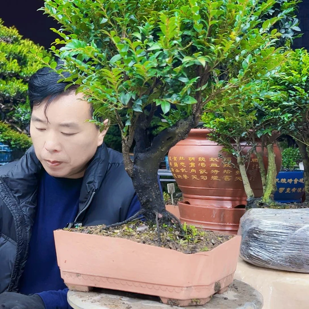 以实际为准芷*12345678