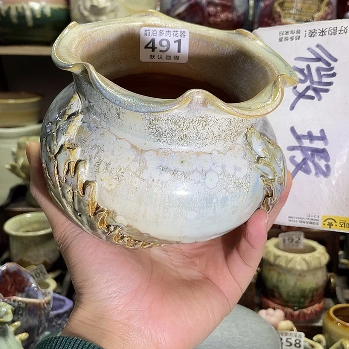 狼盆内口径10高度10