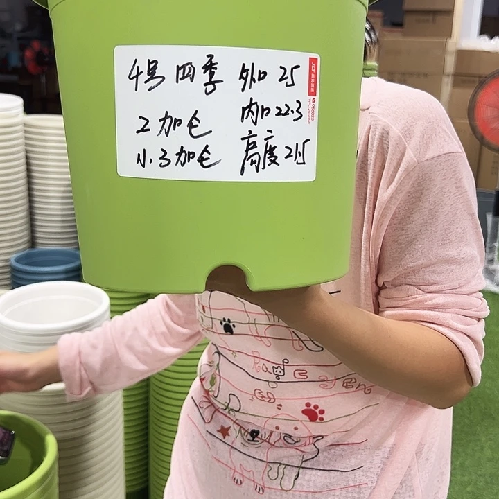 特价4号四季口25高21果绿色8只无托