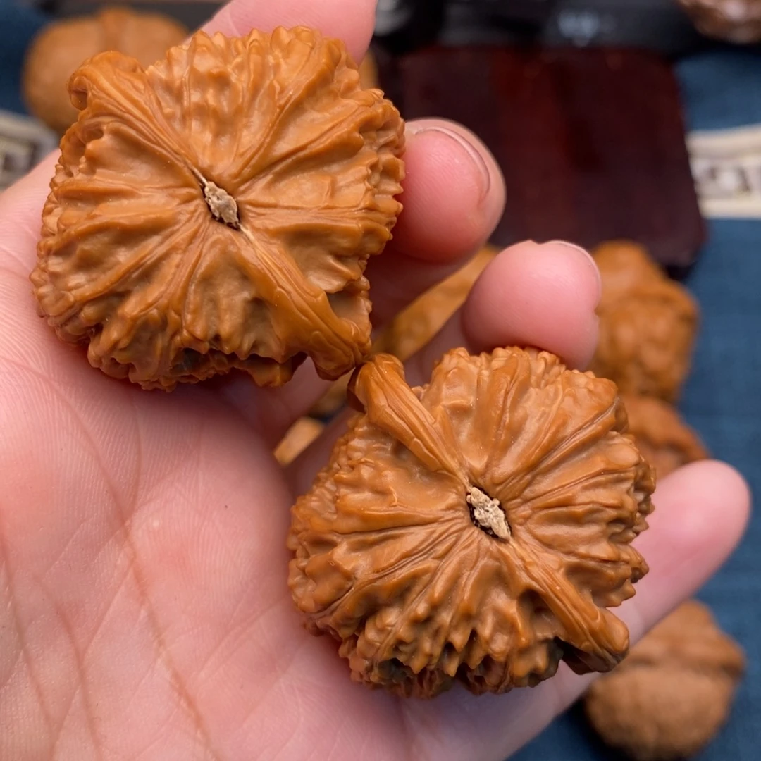 文玩核桃把件39延庆老树球白大克重