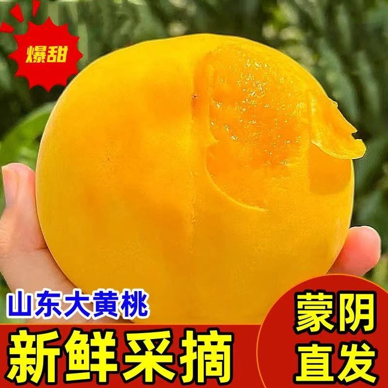正宗山东蒙阴黄金蜜桃新鲜水果应季爆甜大黄桃