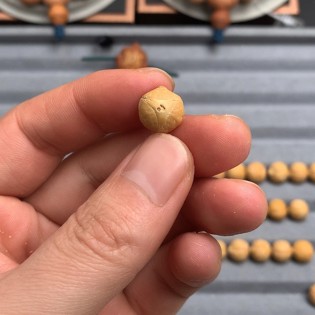 凤眼菩提吊坠?****?龙眼