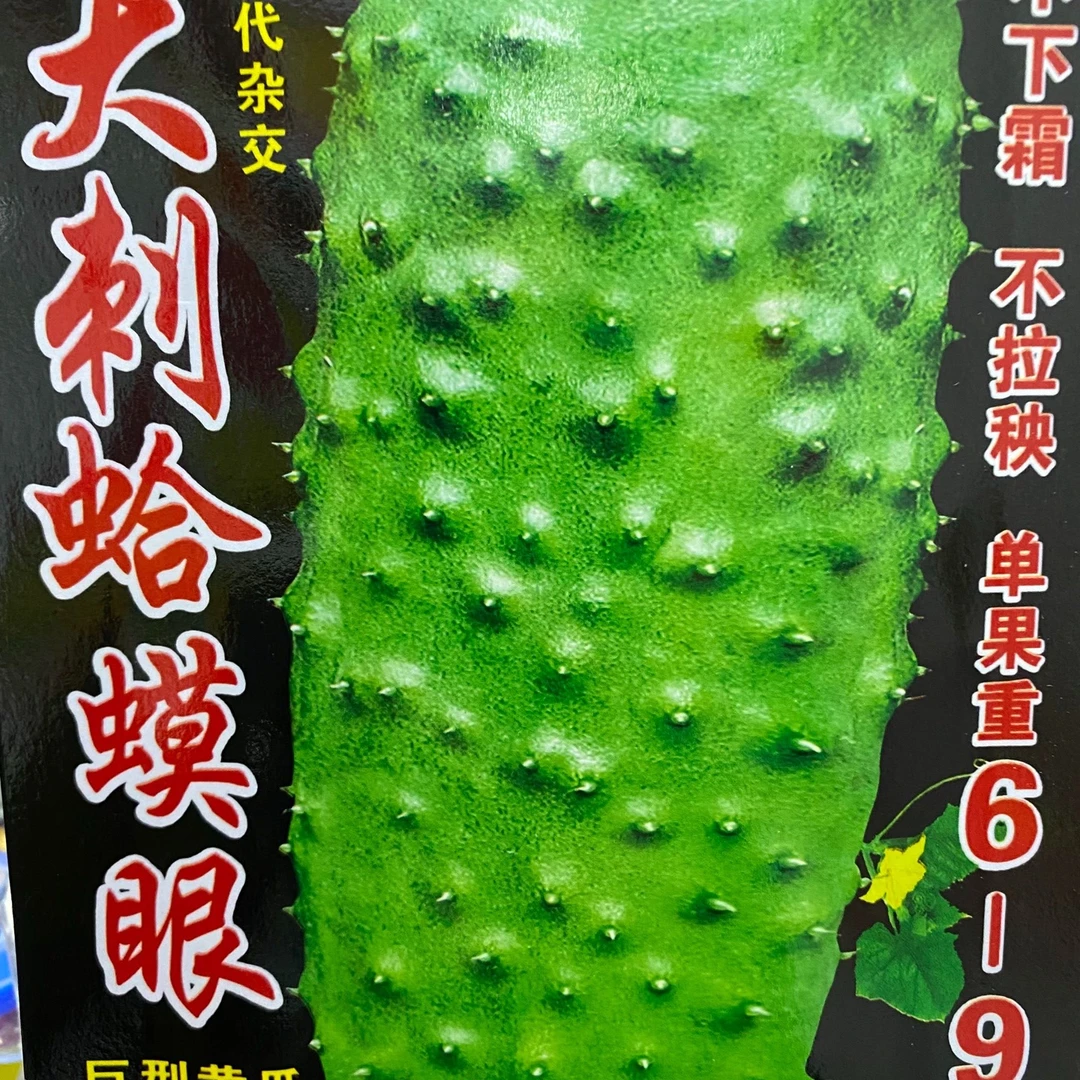 jj蛤蟆眼黄瓜今年新种今年新种