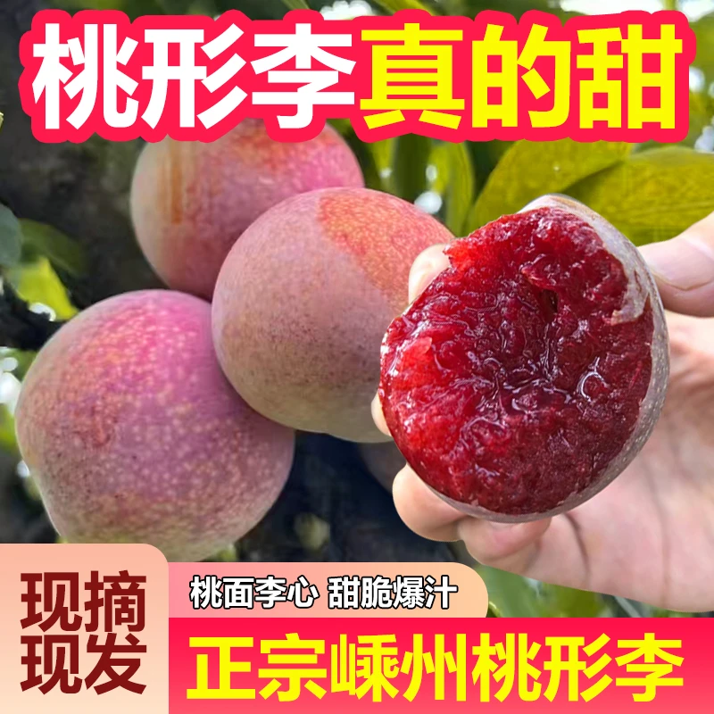 呆呆家嵊州桃形李正宗李子红心李水果脆甜现摘现发果园直发