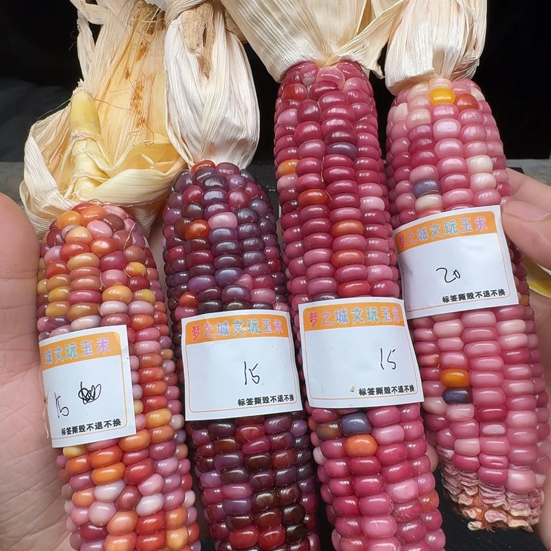 思***歌吊坠柏香籽/百香籽