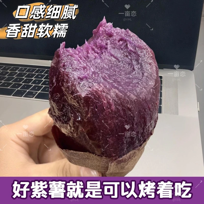 【云南高原黑美人紫薯】专为烤而生的紫薯烤番薯 流油流蜜软糯香甜