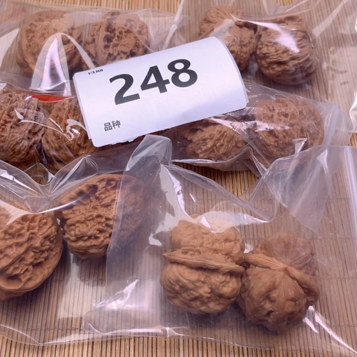 文玩核桃把件248号6对带练手蛙