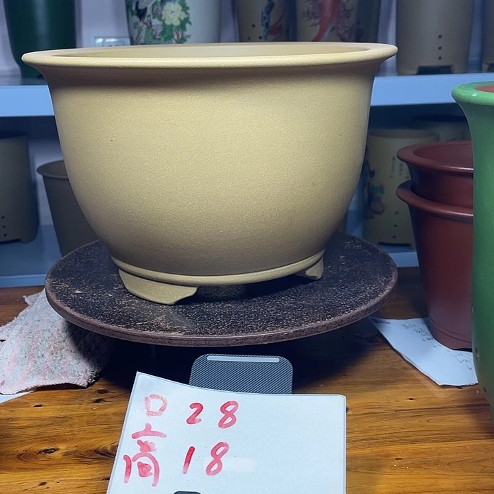 紫砂花盆我也想要一个