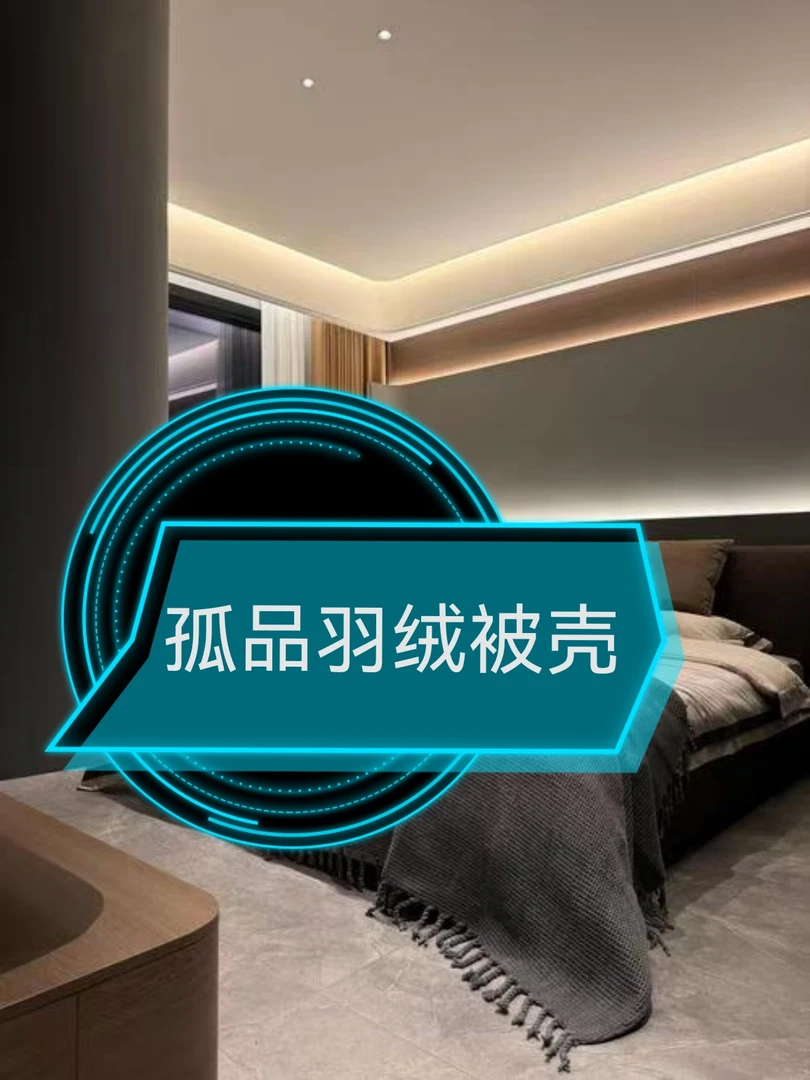 高端羽绒被壳孤品
