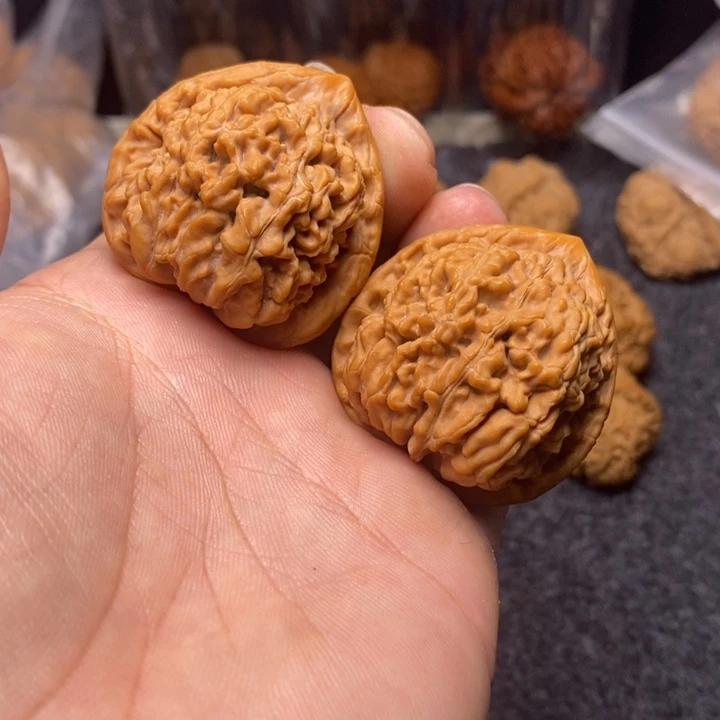 文玩核桃吊坠41蚂蚁王