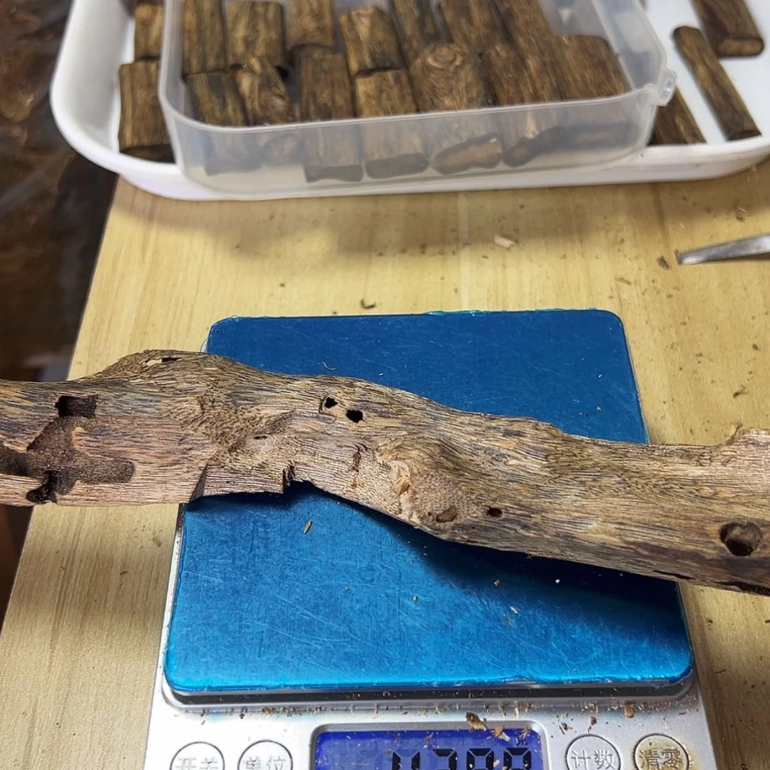 香料绿奇楠虫漏43克