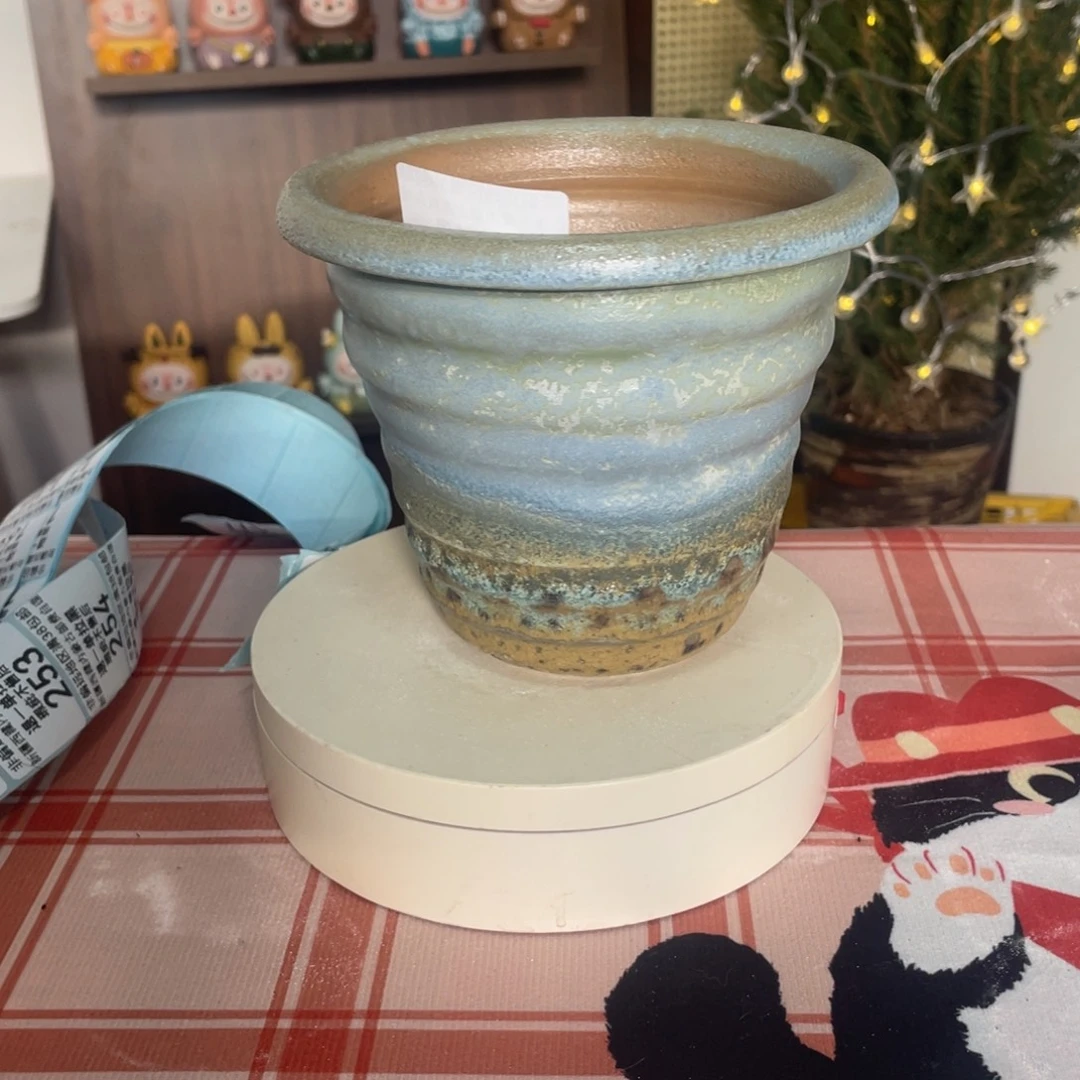 164肉肉花盆口12高11