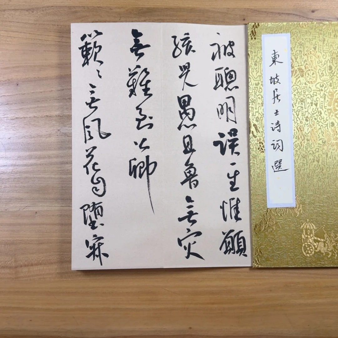 书法中书协老师书法