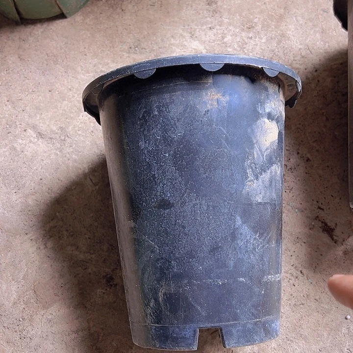 黑色兰花盆口径17.5高19发12个