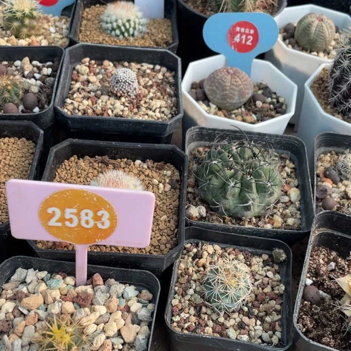 浮***光000000000000000000