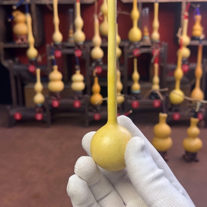 夏***威葫芦，干净利落哭哭哭哭