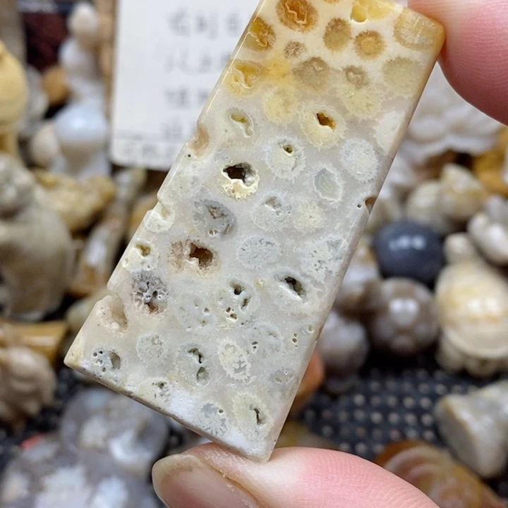 颈饰未镶嵌硅化珊瑚（珊瑚玉）有瑕