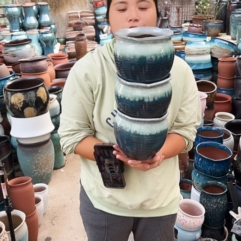 16口16高瑕疵三个盆子。