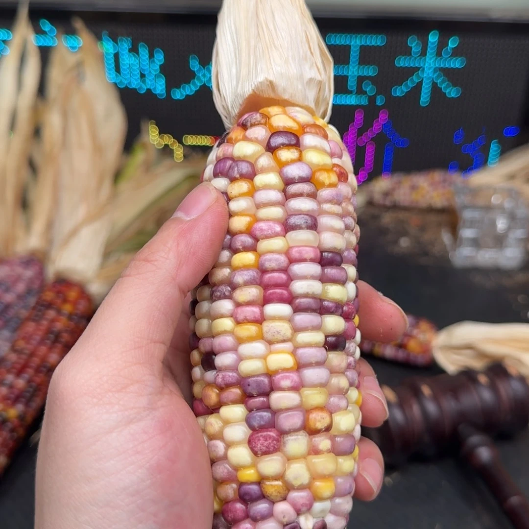 柏香籽/百香籽吊坠幸*