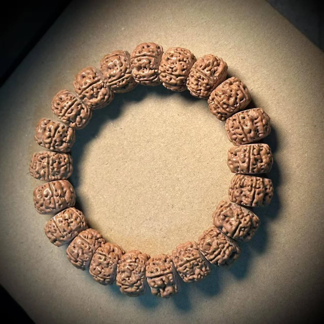 龙切老树王伴生树单圈2条（多样性发货）