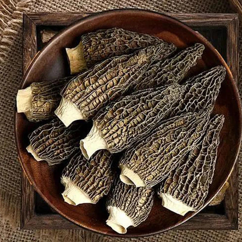 高山头茬羊肚菌干货（长度5-7cm）50g