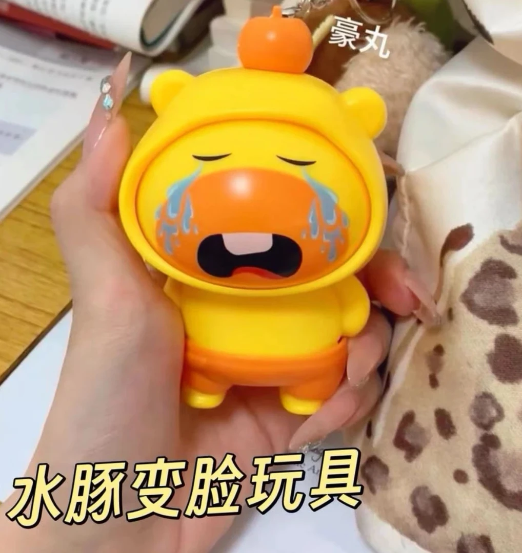 小红书同款水豚噜噜变脸娃娃钥匙扣挂件玩偶摆件创意解压玩具