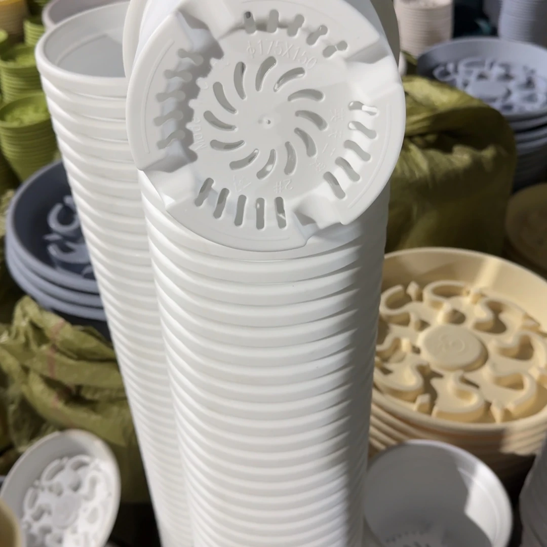 四季2号10个白色的