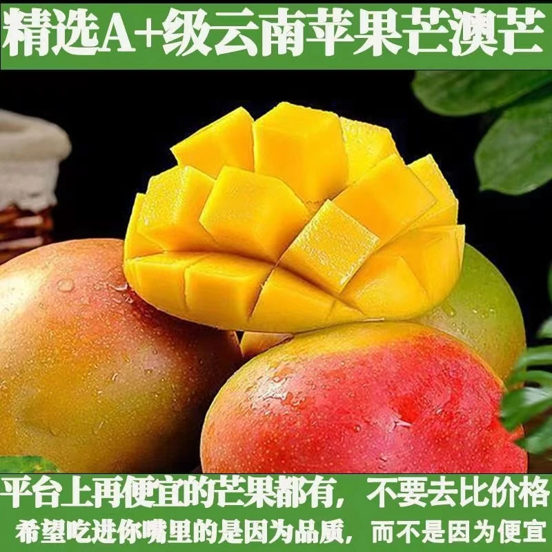 【催熟食用】云南苹果芒澳芒带箱5斤装新鲜采摘发货