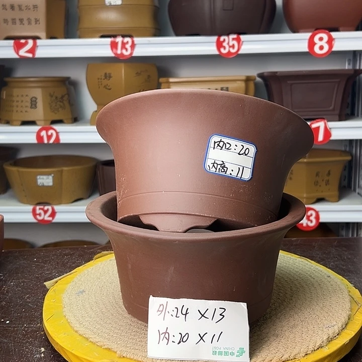 花盆紫砂你在一起