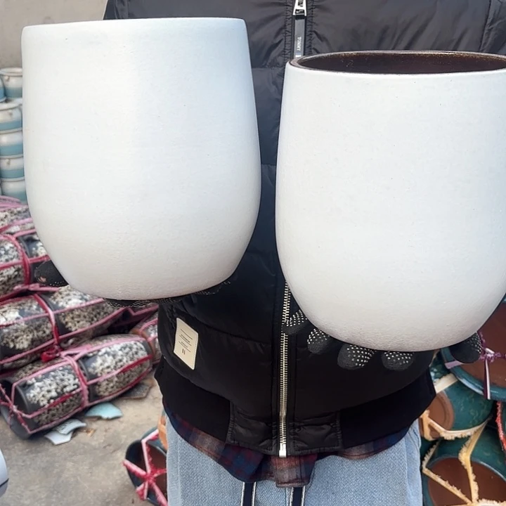 红陶白蛋壳两个口径18高度22