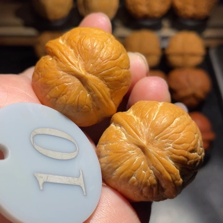 蛇皮球32尺寸核桃