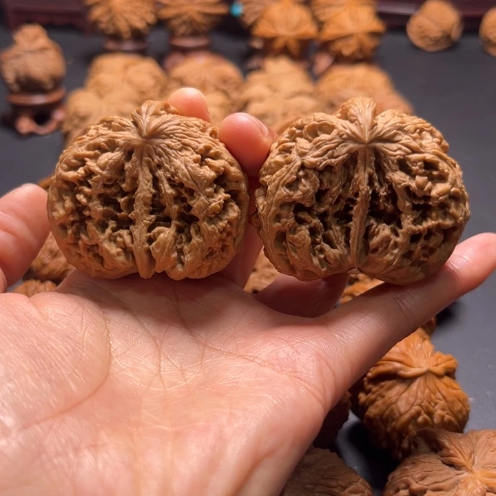 大粗筋半壁核桃哈哈哈哈哈哈哈