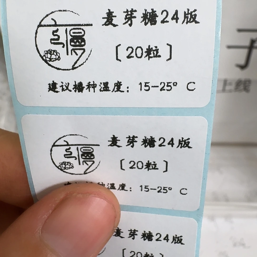 2025杂交多肉种子麦芽24版20粒不包出芽率