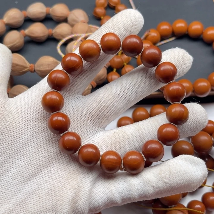 1.25南山小红核全品