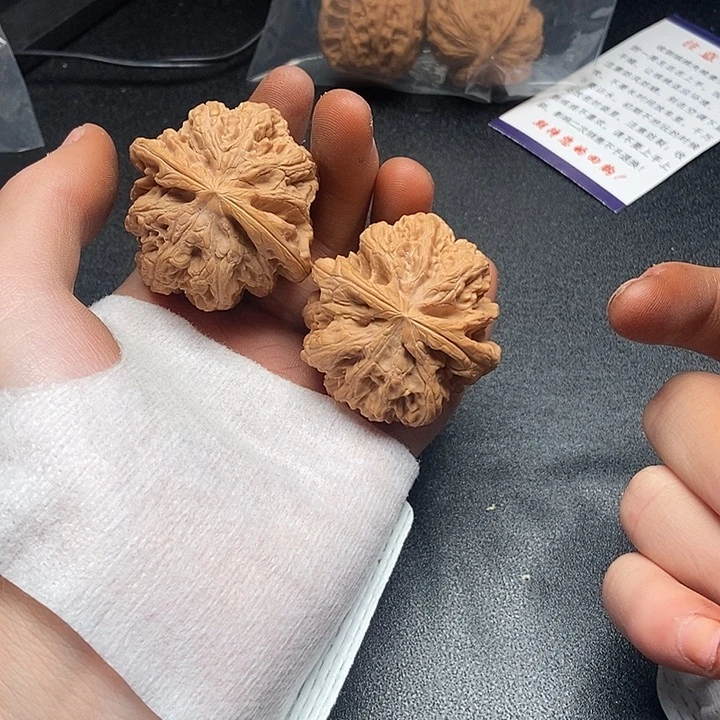 55555555555555555555