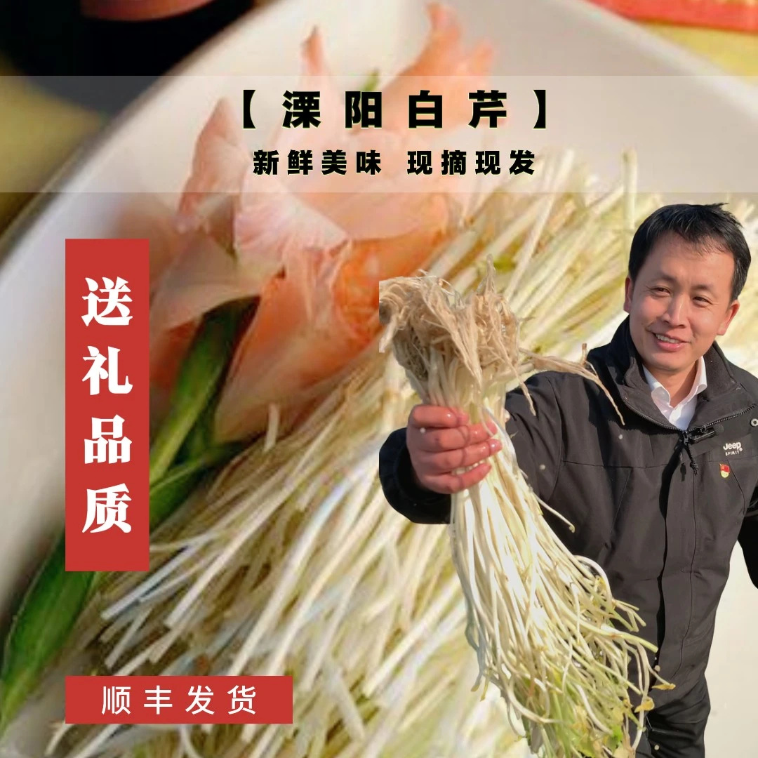 【江浙沪皖】社渚白芹正宗新鲜现挖现发壅土手工非遗