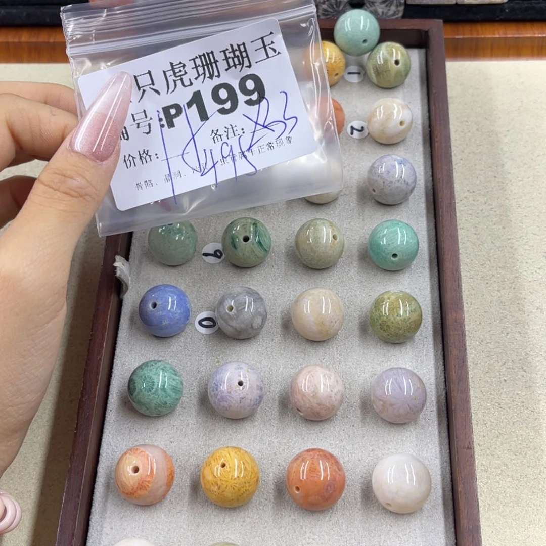 脆***猫硅化珊瑚（珊瑚玉）h未镶嵌