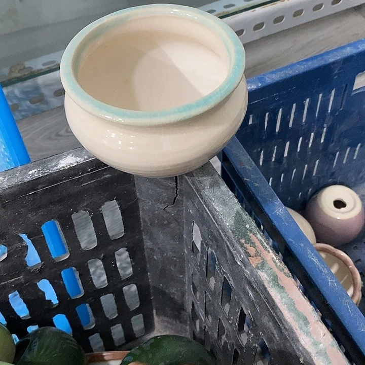 花盆抢购清货马上开始