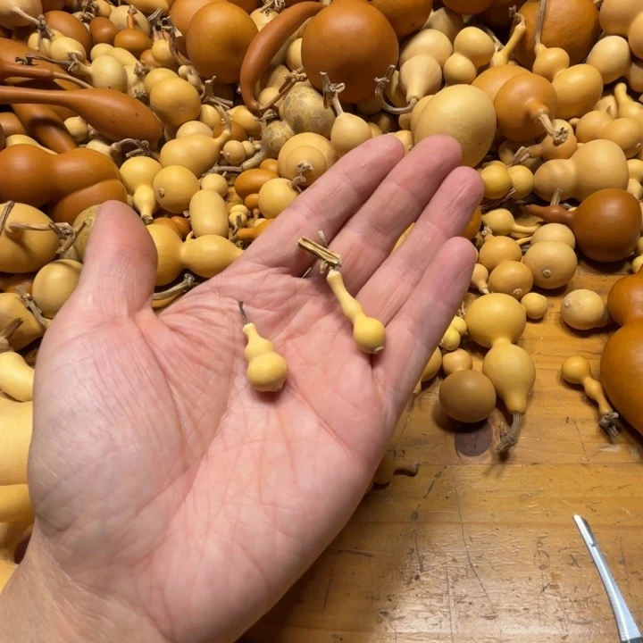 N****角NPC的两把草李金葫芦八宝