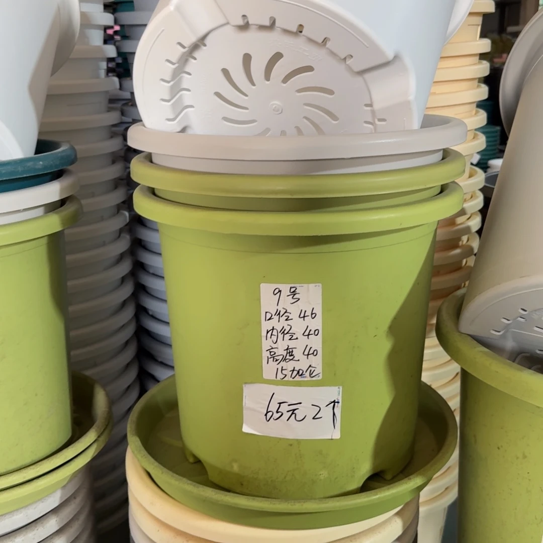微瑕9#口径46无拖果绿3个