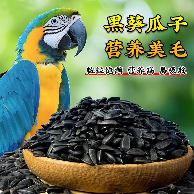 精品油葵仓鼠粮食小黑瓜子饲料零食鹦鹉鸟食金丝熊磨牙生油毛嗑