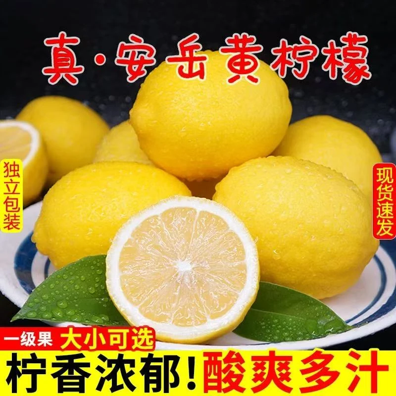 安岳黄柠檬鲜果当季新鲜水果皮薄非香水柠檬酸爽多汁