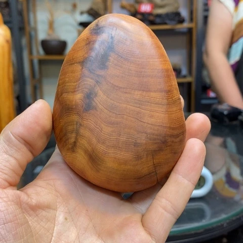 柏木最**见太行崖柏根雕