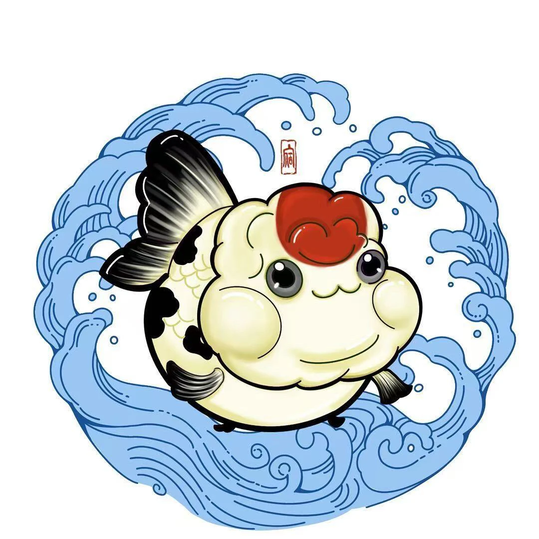 兰寿金鱼当岁压成活体补差价