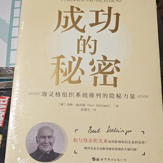 成功的秘密平装库存书