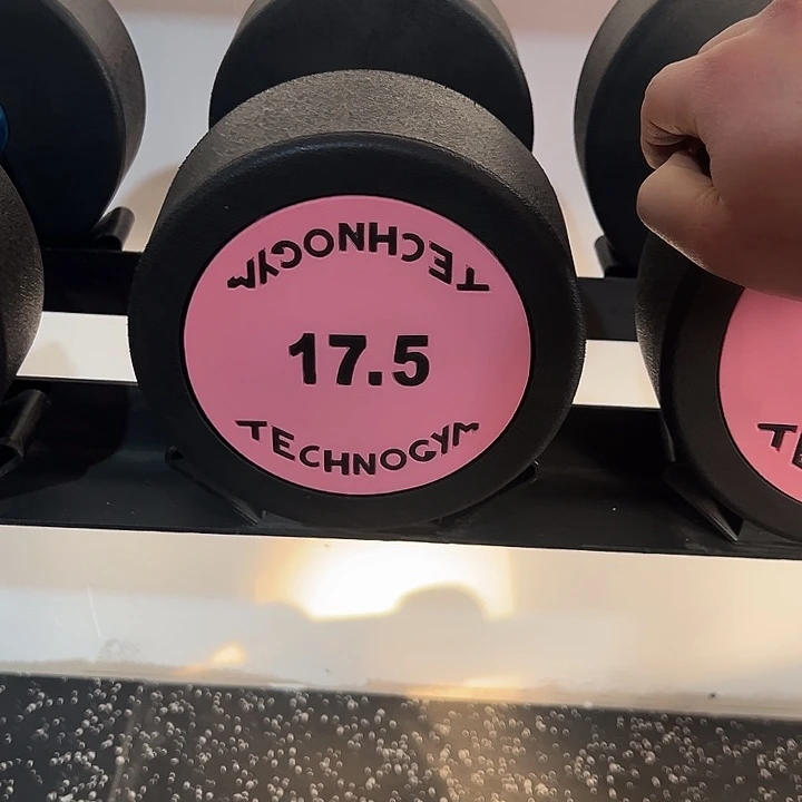 全新纯钢泰诺哑铃17.5公斤一对粉色