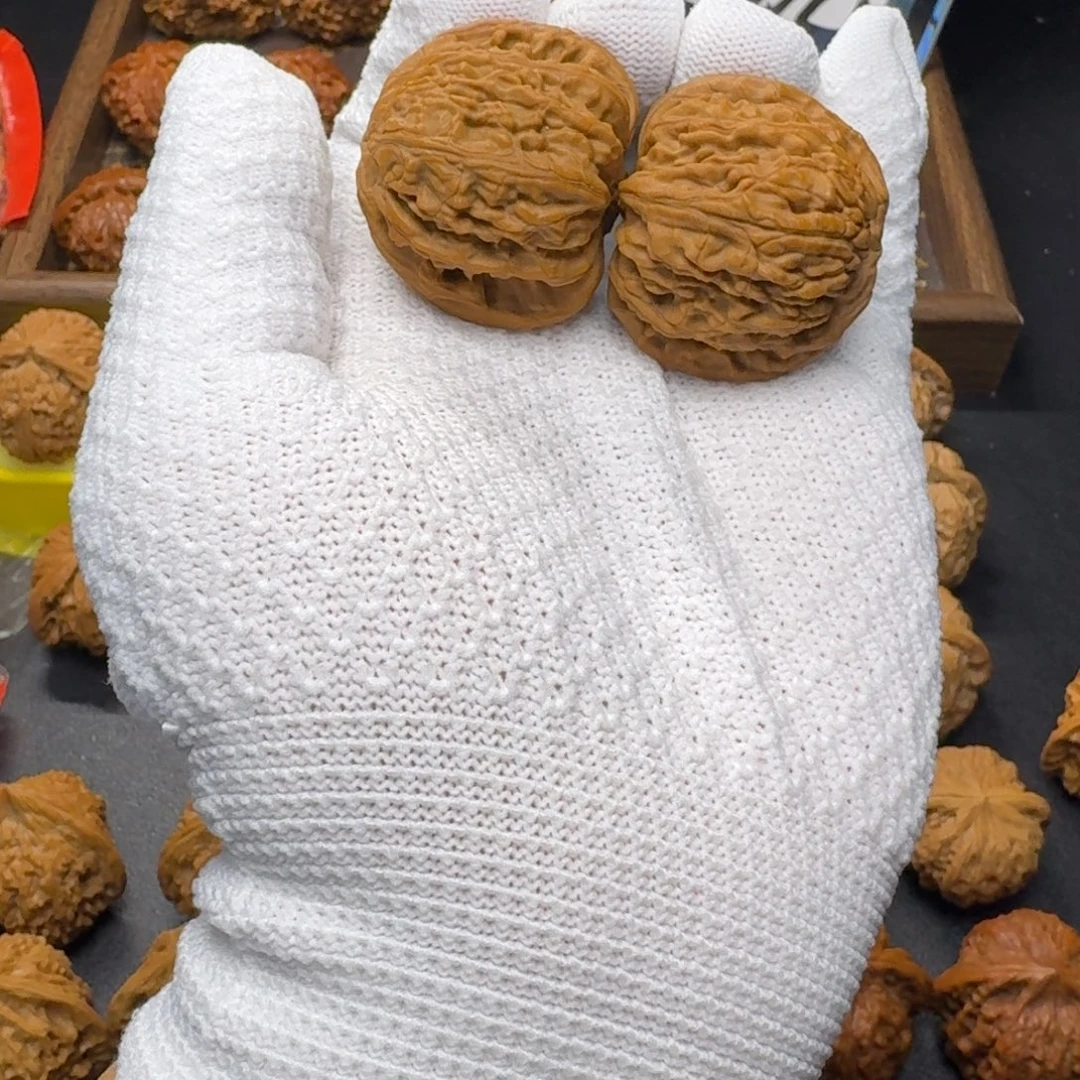 核桃闪电购39全品白狮子