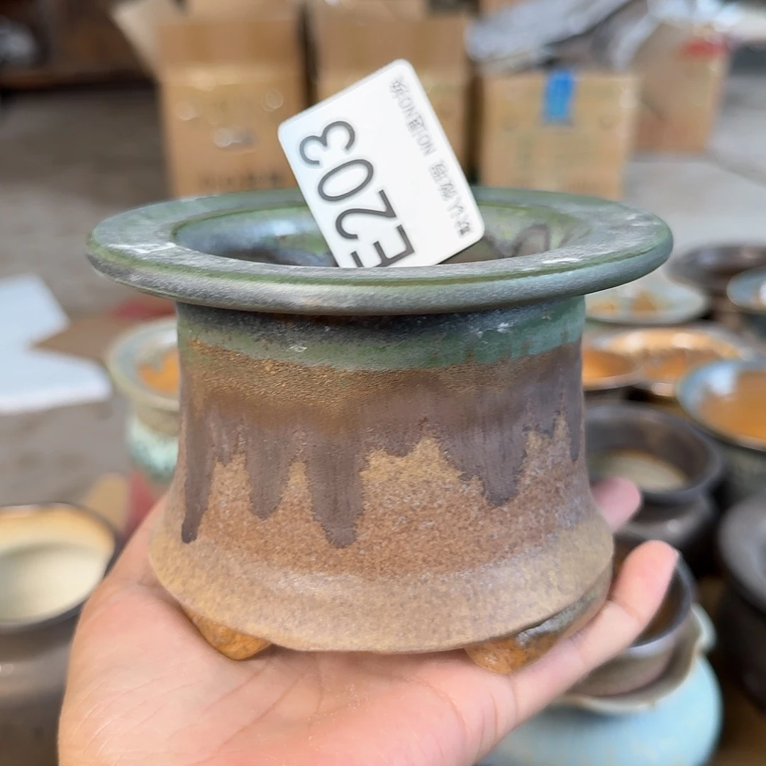 重庆小燕子欢迎大家203