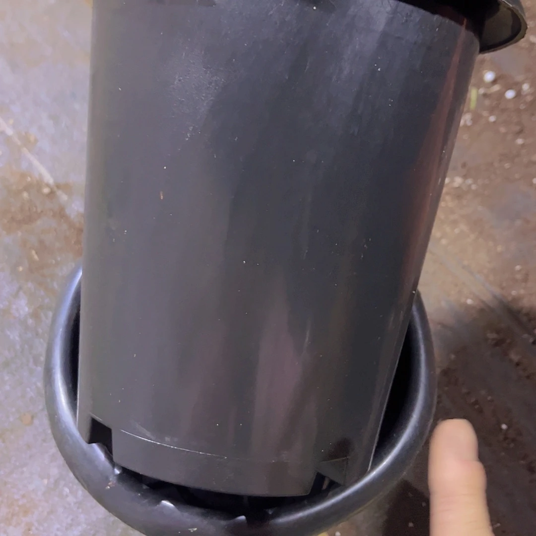 塑料20公分黑兰花盆加厚10个