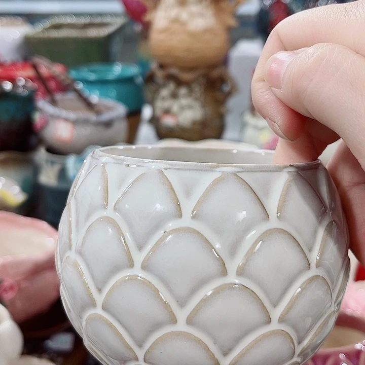 多肉花盆满10元包邮